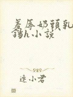 羞辱奶头乳夹铃铛h小说
