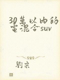 30万以内的油电混合suv