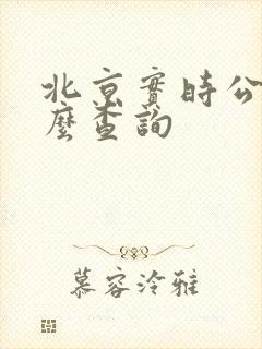 北京实时公交怎么查询