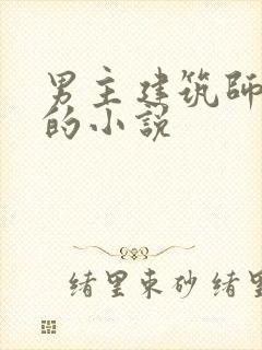 男主建筑师姓陆的小说