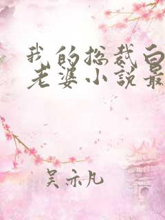 我的总裁白富美老婆小说最新章节列表免费