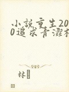 小说重生2000追求青涩校花同桌开始免费阅读