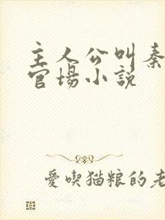 主人公叫秦峰的官场小说