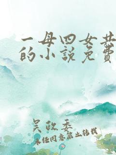 一母四女共一婿的小说免费阅读