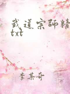 武道宗师精校版txt