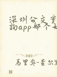 深圳公交实时查询app哪个好
