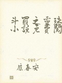 斗罗之灵珠神剑小说免费阅读的