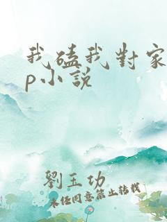 我磕我对家的cp小说