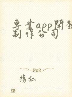 专业app开发制作公司
