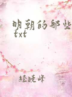 明朝的那些事儿 txt