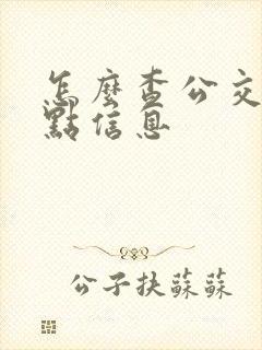 怎么查公交车站点信息