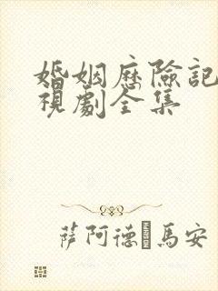 婚姻历险记 电视剧全集