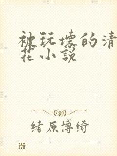 被玩坏的清纯校花小说