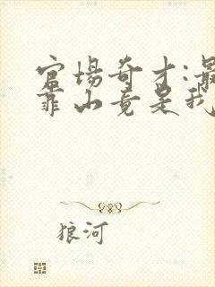 官场奇才:最强靠山竟是我自己李澜小说 官场奇才:最强靠山竟是我自己李澜小说