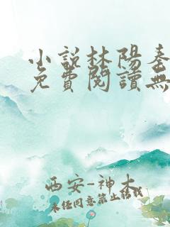 小说林阳秦墨浓免费阅读无弹窗最新章节