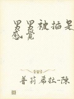 男男被插是什么感觉