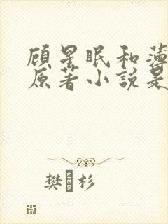 顾星眠和薄子夜原著小说是什么