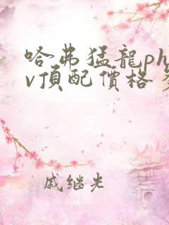 哈弗猛龙phev顶配价格多少钱一辆2025
