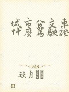 城市公交车需要什么驾驶证