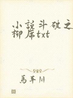 小说斗破之重生柳席txt