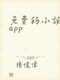免费的小说软件app