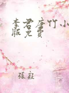李君唐竹小说正版免费