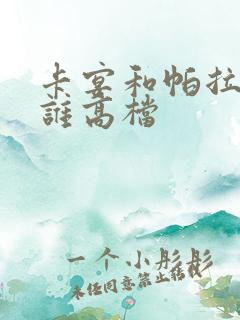 卡宴和帕拉梅拉谁高档