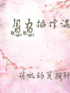 用力插撑满骚货嗯嗯