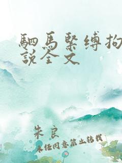 驷马紧缚拘束小说全文