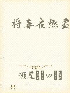 将春夜燃尽