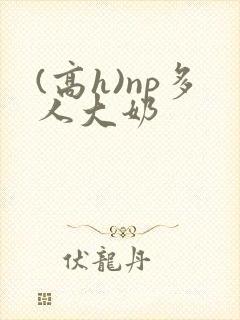 (高h)np多人大奶