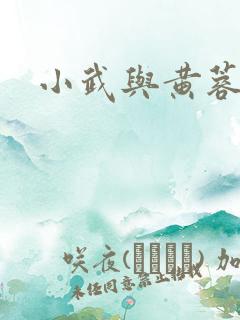 小武与黄蓉
