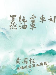 买纯电车好还是燃油车