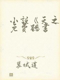小说《天之下》免费听书 小说《天之下》免费听书