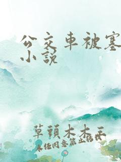公交车被塞跳蛋小说 公交车被塞跳蛋小说