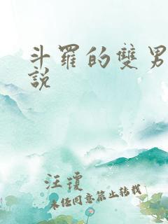 斗罗的双男主小说