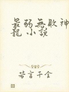 最弱无败神装机龙 小说