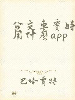 公交车实时查询用什么app