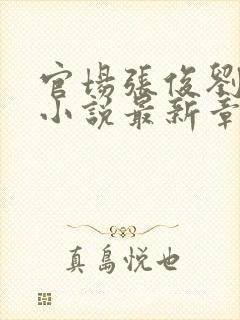 官场张俊刘玉婕小说最新章节更新