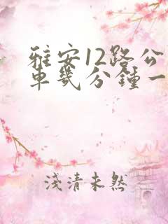 雅安12路公交车几分钟一趟