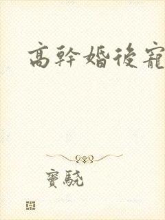 高干婚后宠文