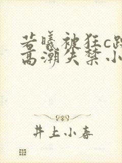 若曦被狂c躁到高潮失禁小说