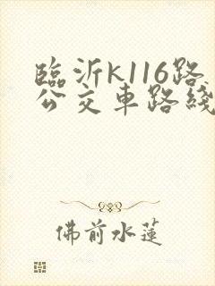 临沂k116路公交车路线图