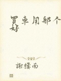 买车用那个软件好