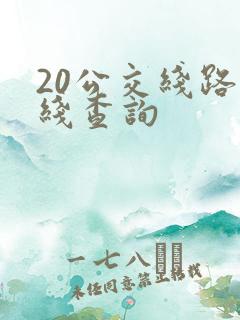 20公交线路路线查询