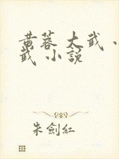 黄蓉 大武 小武 小说