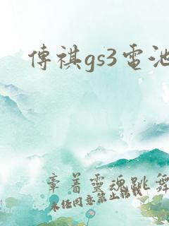 传祺gs3电池