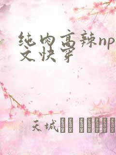 纯肉高辣np爽文快穿