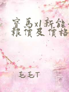宝马x1新能源报价及价格