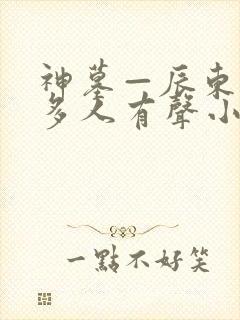 神墓—辰东免费多人有声小说